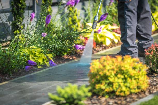 Animal Enclosure Cleaning in Granville, OH